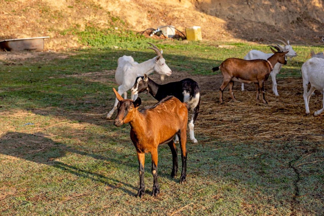 Agriturismo Cascina Trevo สโปตัวร์โน ภายนอก รูปภาพ